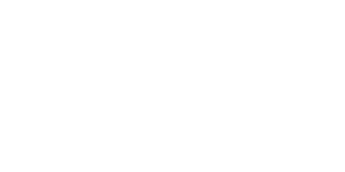 Plushins